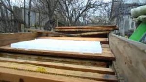 Помещаем матку в изолятор Хмары 1