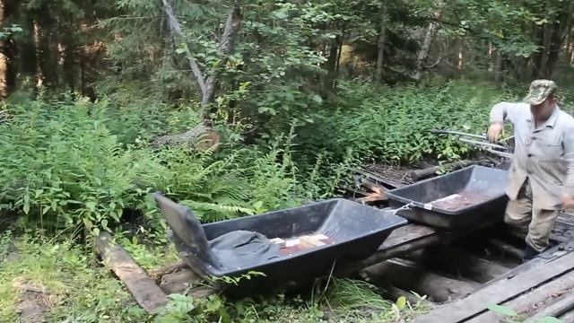Мотособака  