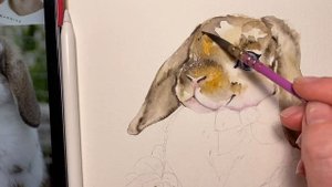 Пошаговый урок рисования акварелью  «Пасхальный кролик»