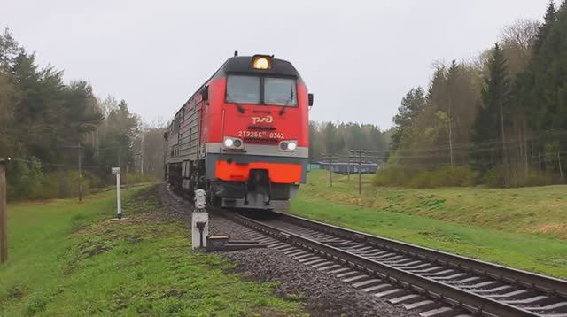 2ТЭ25Км-0342 (РЖД/Окт, ТЧ-31 В. Луки) с грузовым поездом