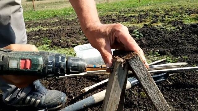 Видео 0015 Инструкция по посадке кедра с открытой корневой системой 26 августа 2020 года