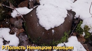 КОП ПО ВОЙНЕ / МЯСНОЙ БОР / РЕКА ПОЛИСТЬ НЕМЕЦКИЕ ПОЗИЦИИ.