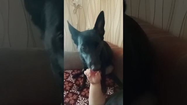Почему перестал чесать меня? Продолжай... ;-)