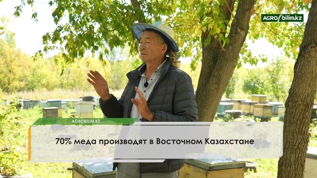 Технологический процесс производства меда с учетом природно-климатических зон РК смотреть онлайн