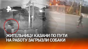 "У нее ребенок остался!": собаки загрызли женщину по пути на работу в Казани