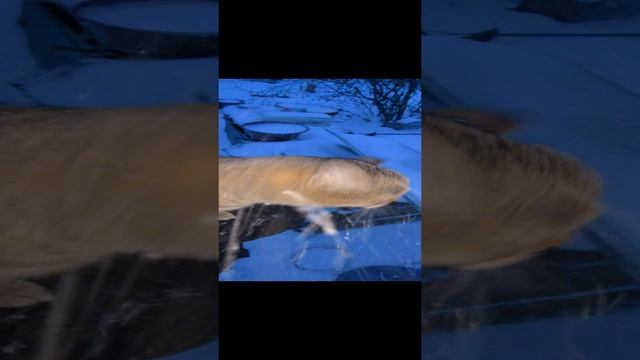 2024.11.06_16.49