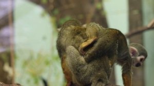 11936604-hd_1920_1080_60fps