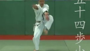 Gojushiho_Sho_Bunkaï_Défense_par_Didier_Lupo