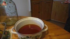 Три деликатеса из одной шишки. Из цикла "Съедобные дикоросы"