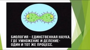ОСНОВНЫЕ ПОНЯТИЯ. Деление клетки