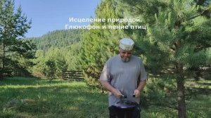 Глюкофон и пение птиц