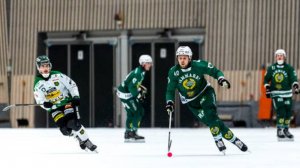 «Hammarby IF»-«Frillesås BK» 8 Nov Elitserien 2024-25