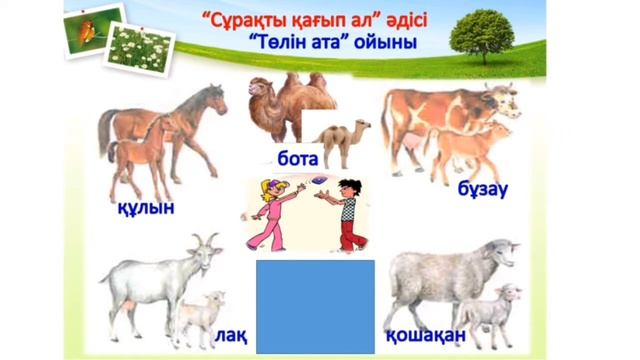 Қоршаған орта. Тақырыбы: Үй жануарлары. Тәрбиеші: Ермекбаева Мирамкуль