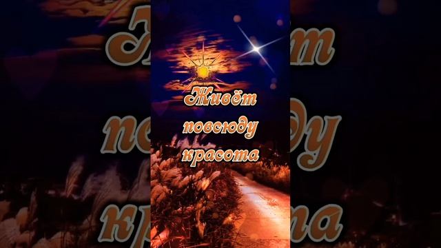 Доброго вечера! #видеопожелание