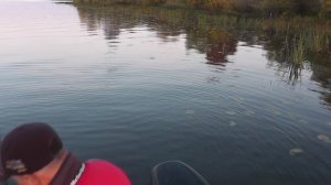 Ловля щучки травянки с первого заброса! Часть 3.