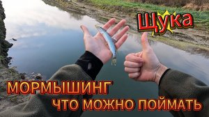 Мормышинг. Что можно поймать