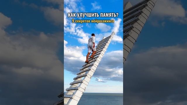 Как улучшить память за 2 недели: 9 секретов нейрохакинга