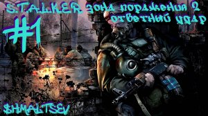 S.T.A.L.K.E.R. Зона Поражения 2 Ответный Удар #1 ПРЕДПОЛОГАЕМОЕ ВОЗВРАЩЕНИЕ В МЯСОРУБКУ