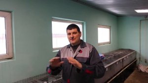 КАК СОДЕРЖАТЬ КРОЛИКОВ? 3 МЕТОДА НА ВЫБОР!!