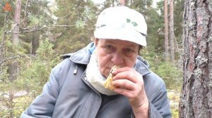 Красивый и съедобный гриб! РАМАРИЯ ЖЁЛТАЯ -  Ramaria flava.