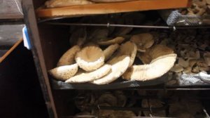Самодельная чудо-сушилка для грибов