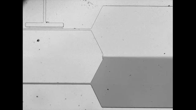 ARAbate, single-layer membrane valve with a differential manometer смотреть онлайн