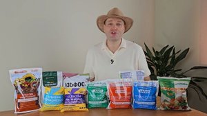Чем подкормить растения весной?