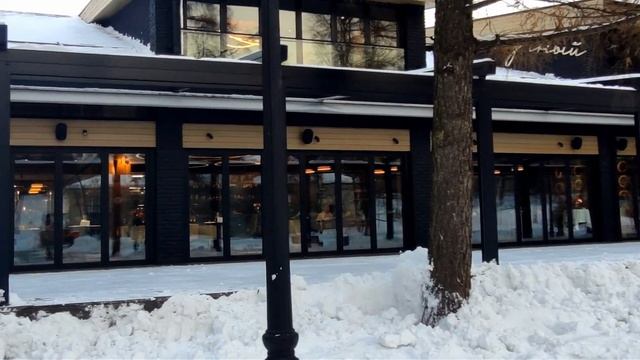 Рождественские прогулки в Нескучном саду с друзьями смотреть онлайн