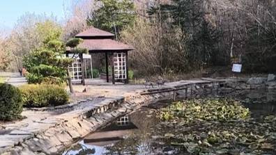 Осенняя прогулка по Ботаническому саду в городе Владивостоке. #Осенняя_сказка #Ботанический_сад_Влад
