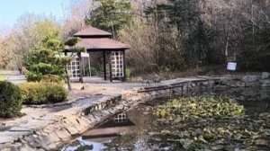 Осенняя прогулка по Ботаническому саду в городе Владивостоке. #Осенняя_сказка #Ботанический_сад_Влад