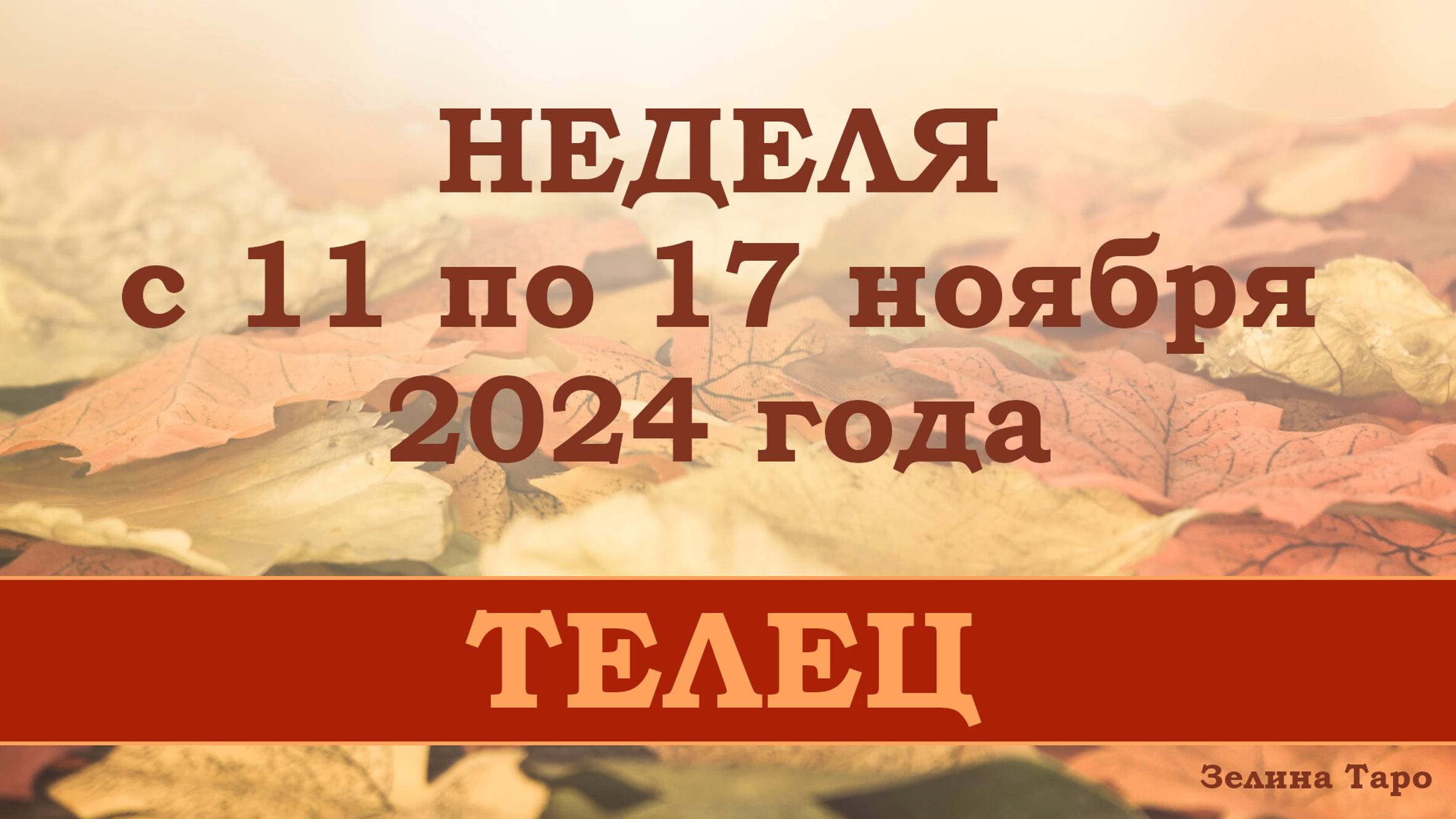ТЕЛЕЦ | Таро прогноз на неделю с 11 по 17 ноября 2024 года