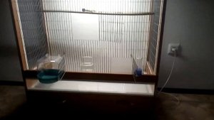 Клетка для птиц.