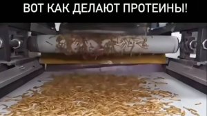 Любишь протеиновый коктельчик, а может батончик? 🤤