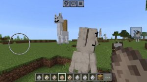 zoо аномалии в Майнкрафт !!!