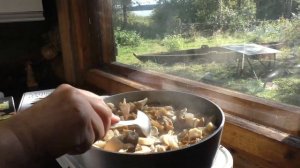 Жарим колпак кольчатый. Вкусно получилось!