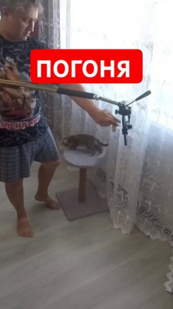 Погоня🤣👍