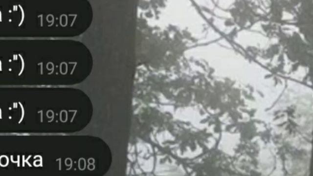 Назови три мои фразы по три раза|1/?