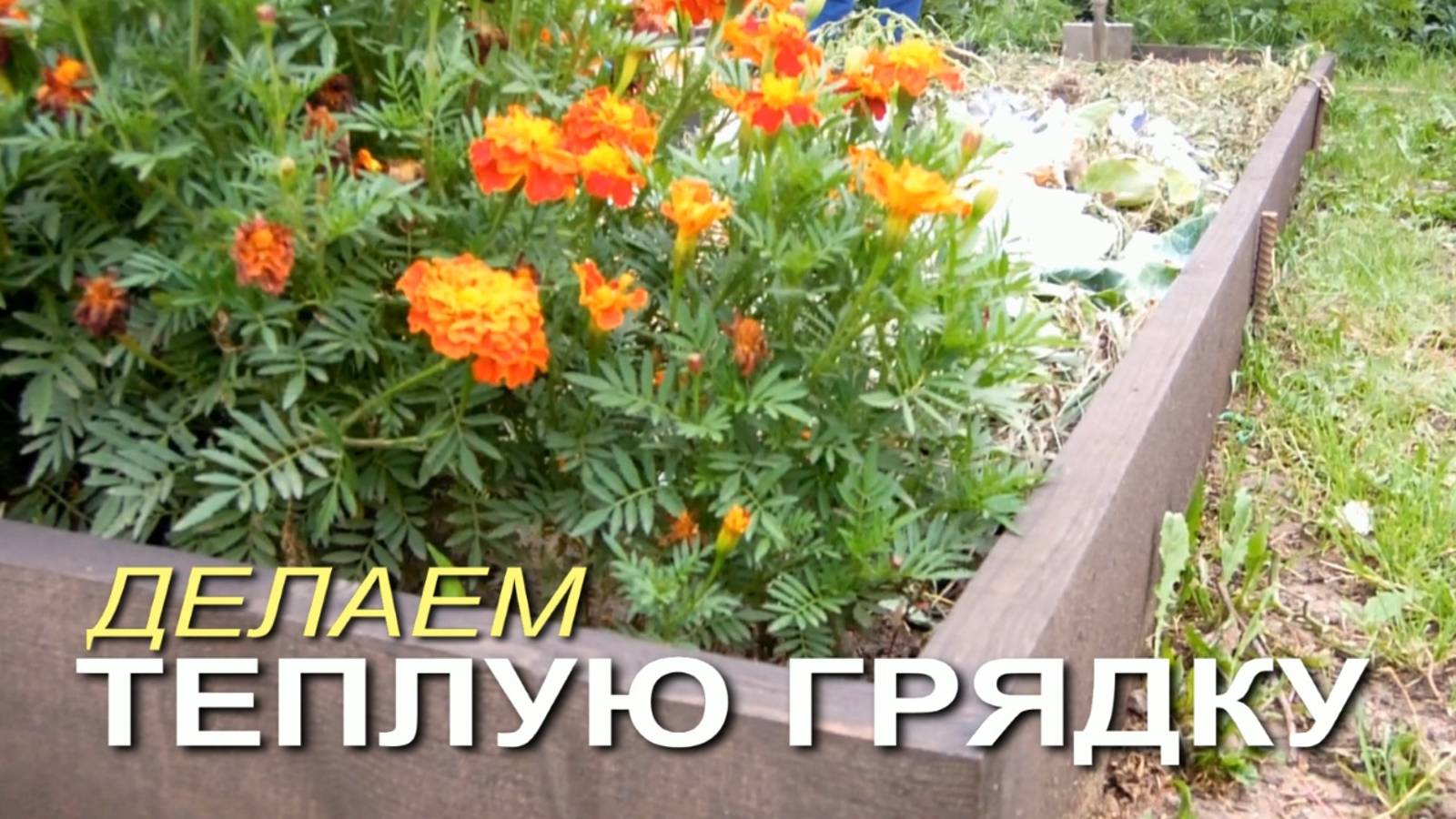 Как сделать ТЕПЛЫЕ ГРЯДКИ осенью! Советы от ЗЕЛЕНОГО ОГОРОДА!