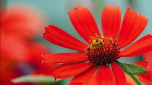 Удивительные истории из жизни -Истории про жизнь