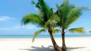 Очистка всего негатива между парой - сеанс Кундалини рейки