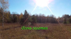 Осень золотая