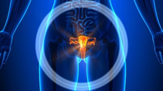 piriforme,gluteo,grande,medio,piccolo Ischiasnerv, Gesäßmuskel, Piriformis muske