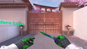 Butterfly Saphira & Gloves Mortal Veil | Standoff 2