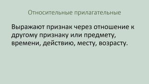 Разряды имён прилагательных. Качественные, относительные, притяжательные прилагательные.