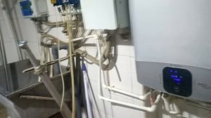Опыт работы доильного оборудования