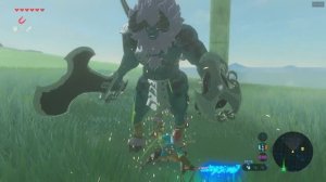 Zelda: Breath of The Wild CEMU Могучий Левр