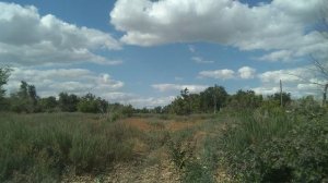 Опустевшее село Мавринка, Ершовский район.