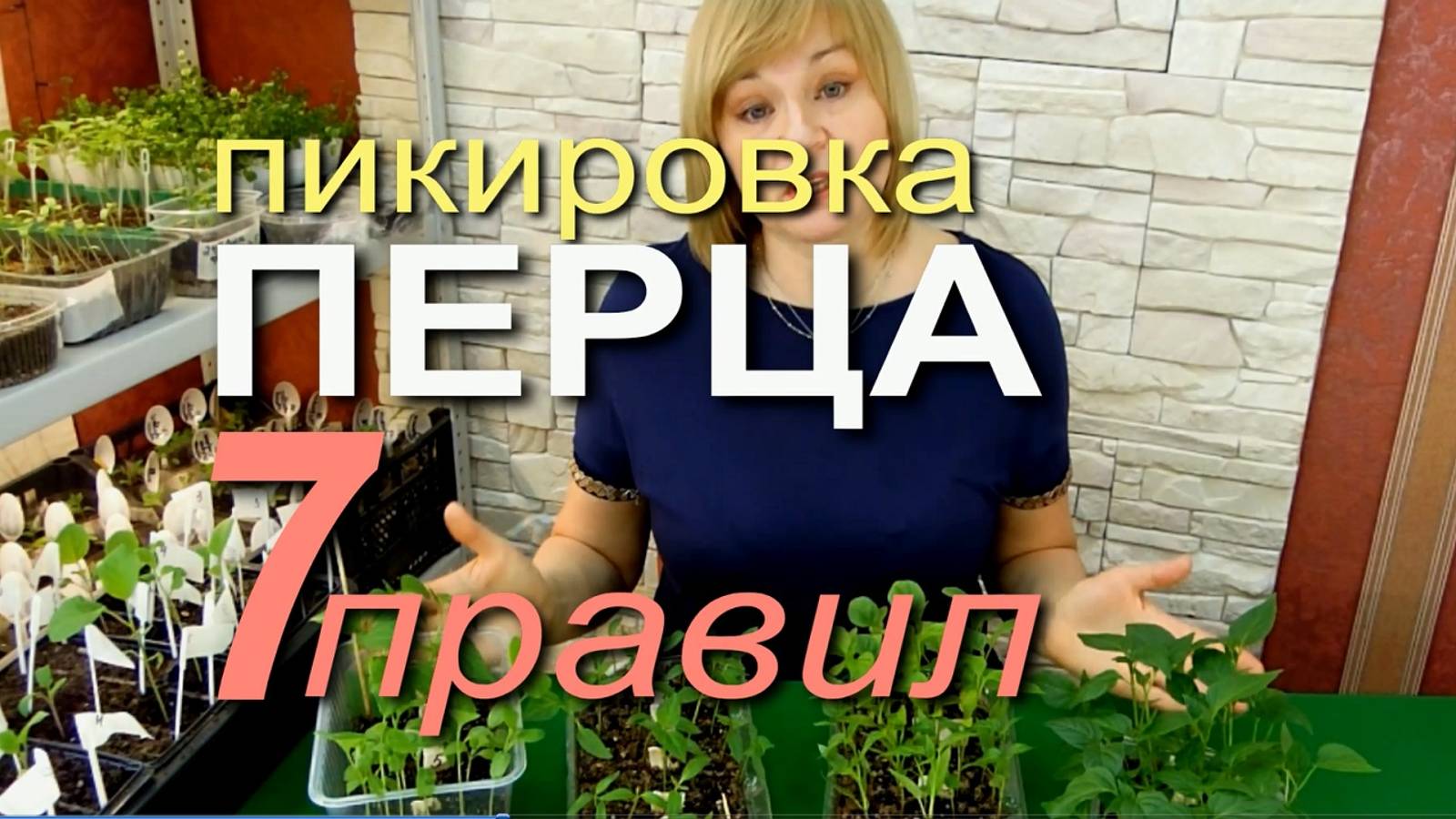 ПИКИРОВКА ПЕРЦА и БАКЛАЖАНОВ! ВЫПОЛНИТЕ СЕМЬ ПРАВИЛ! Советы от ЗЕЛЕНОГО ОГОРОДА!