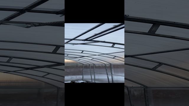Теплица «Павильон»
