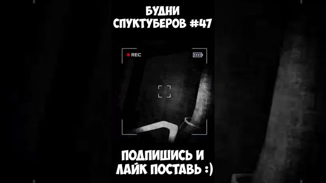 Будни спуктуберов #47 | Content Warning #contentwarning #gaming #игры #будни #games #game